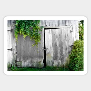 Weathered Barn Doors 2 Sticker